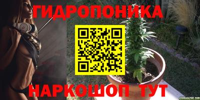 тгк Ачхой-Мартан